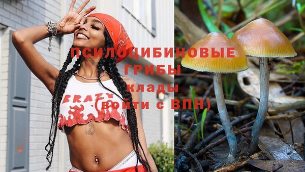гашик Алзамай