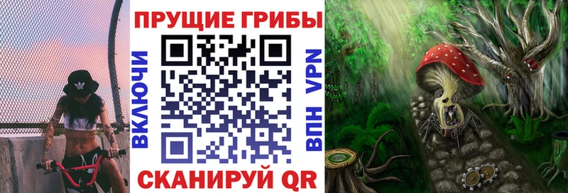 Галлюциногенные грибы Cubensis  Ардон 